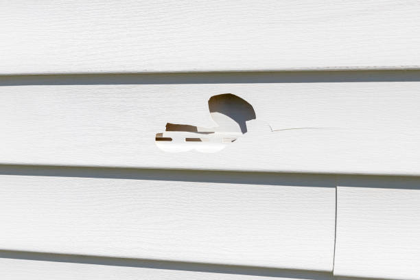 Best Stucco Siding  in Marlow Heights, MD
